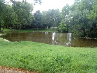 Teich im Park Teich im Park