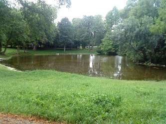 Teich im Park